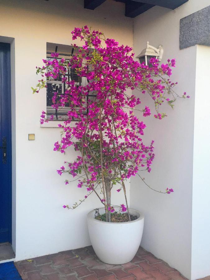 Haritza Bed and Breakfast Anglet Eksteriør billede